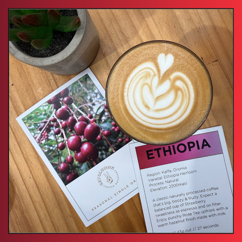 ETHIOPIA // Worka Sakaro GR1