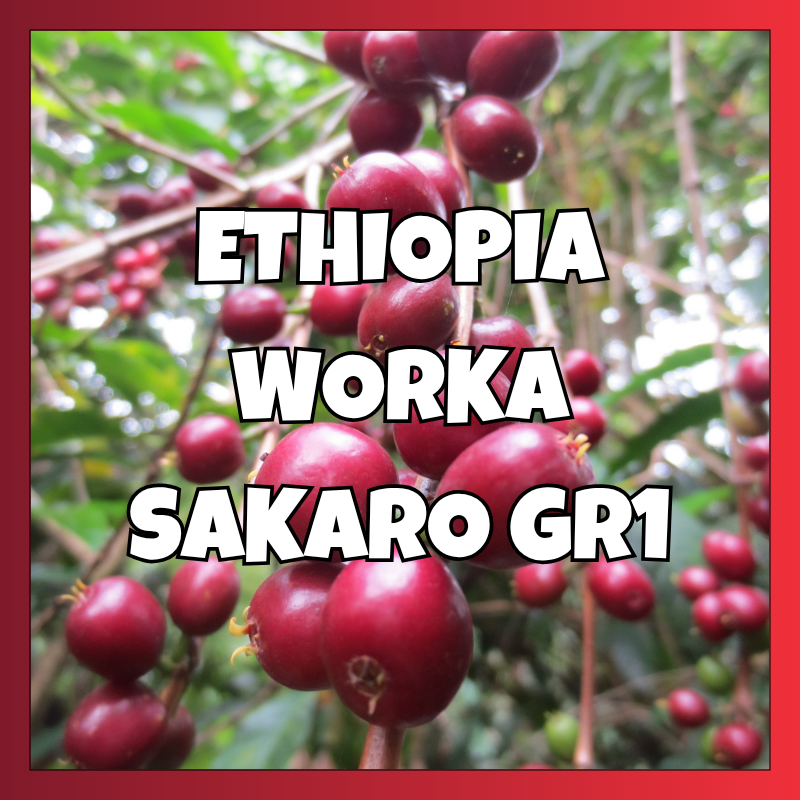 ETHIOPIA // Worka Sakaro GR1