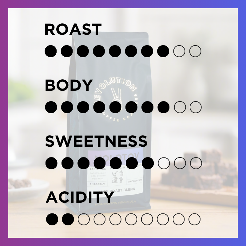 MOLOTOV Subscription // Dark Roast Blend